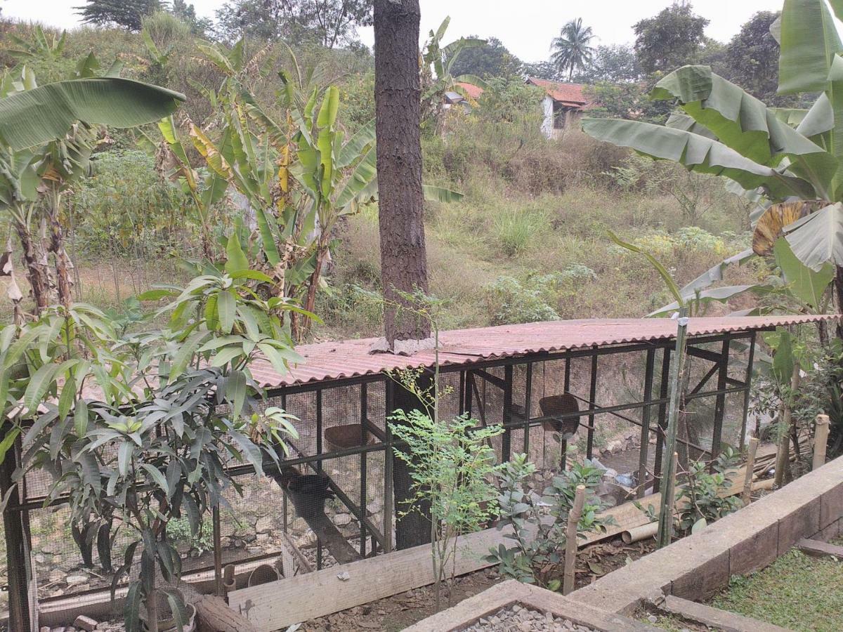 Nabila Syar'I Guest House Padalarang Kültér fotó